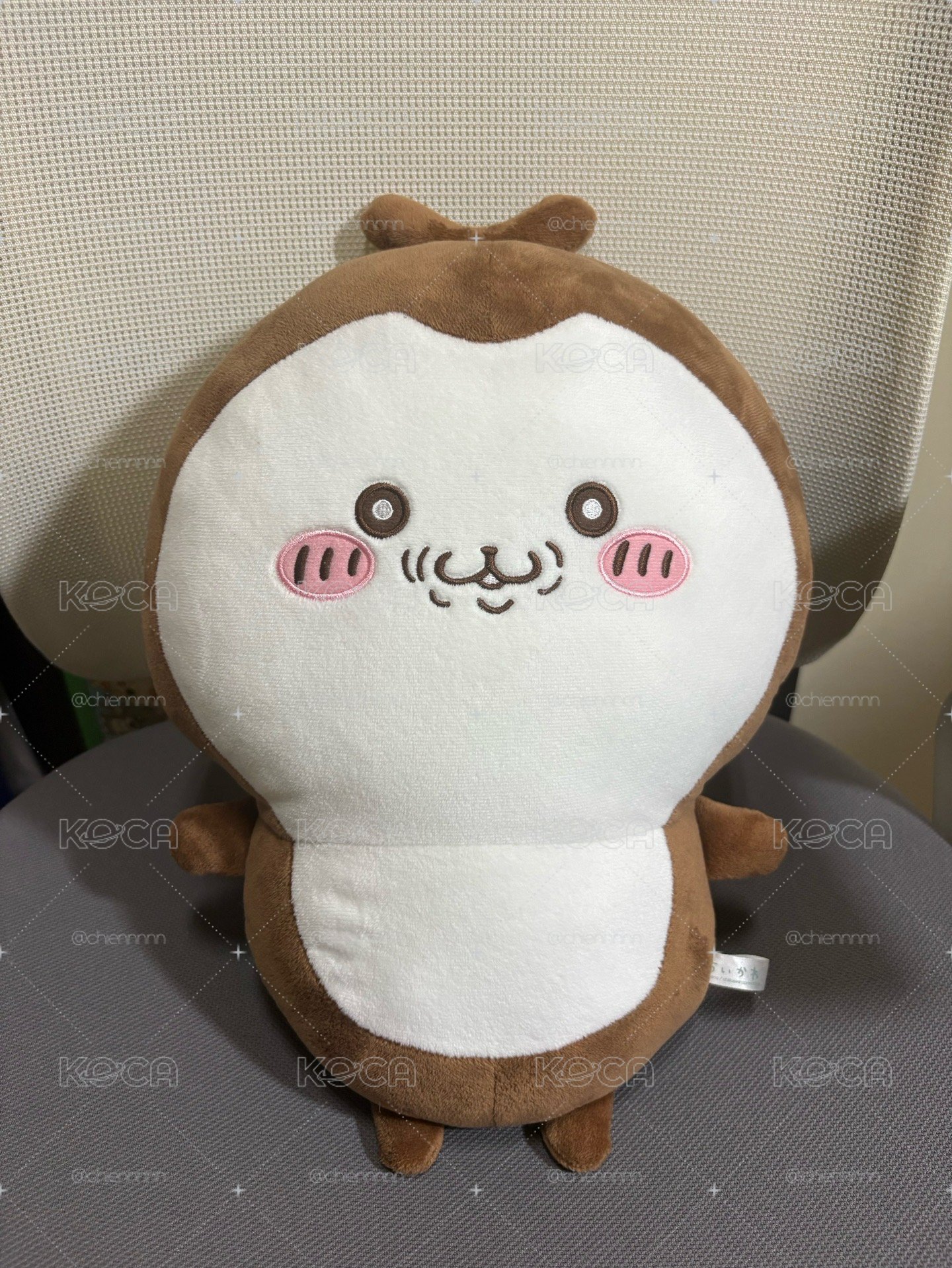 景品大甲蟲（燦笑）