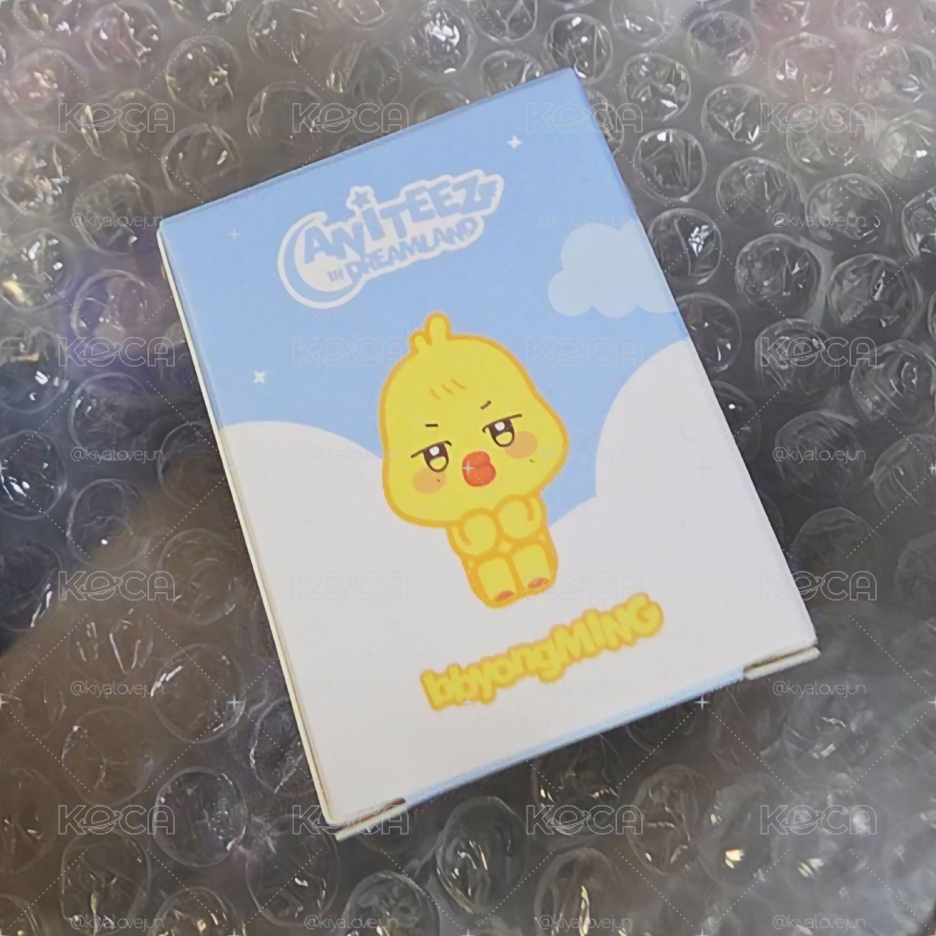 夢境ANITEEZ｜🐣蹦旼坐坐玩偶