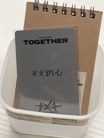 天天凱心ᵔ⤙ᵔ) ⸒