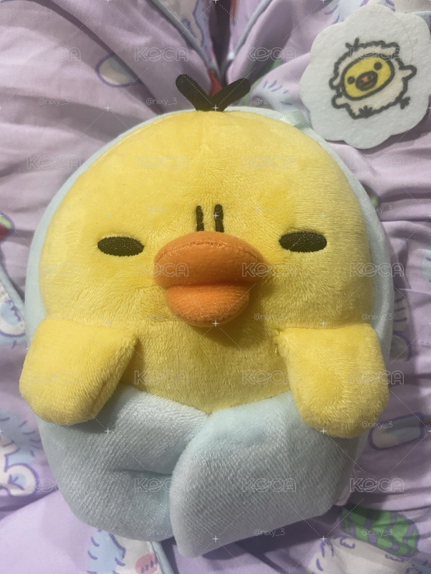 晚安系列鼻孔雞