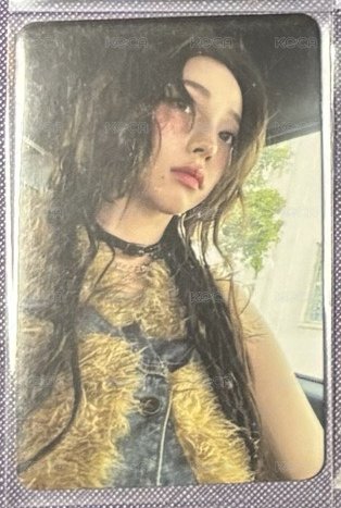 陽光隨機卡柚