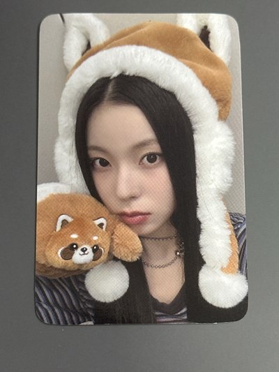 NMIXX k4小熊貓圭