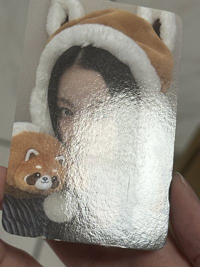 NMIXX k4小熊貓圭