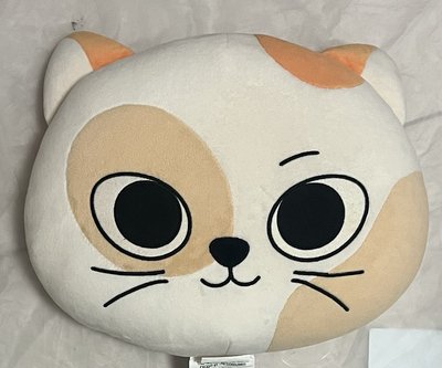 BBNEXDO 抱枕 CATBBI