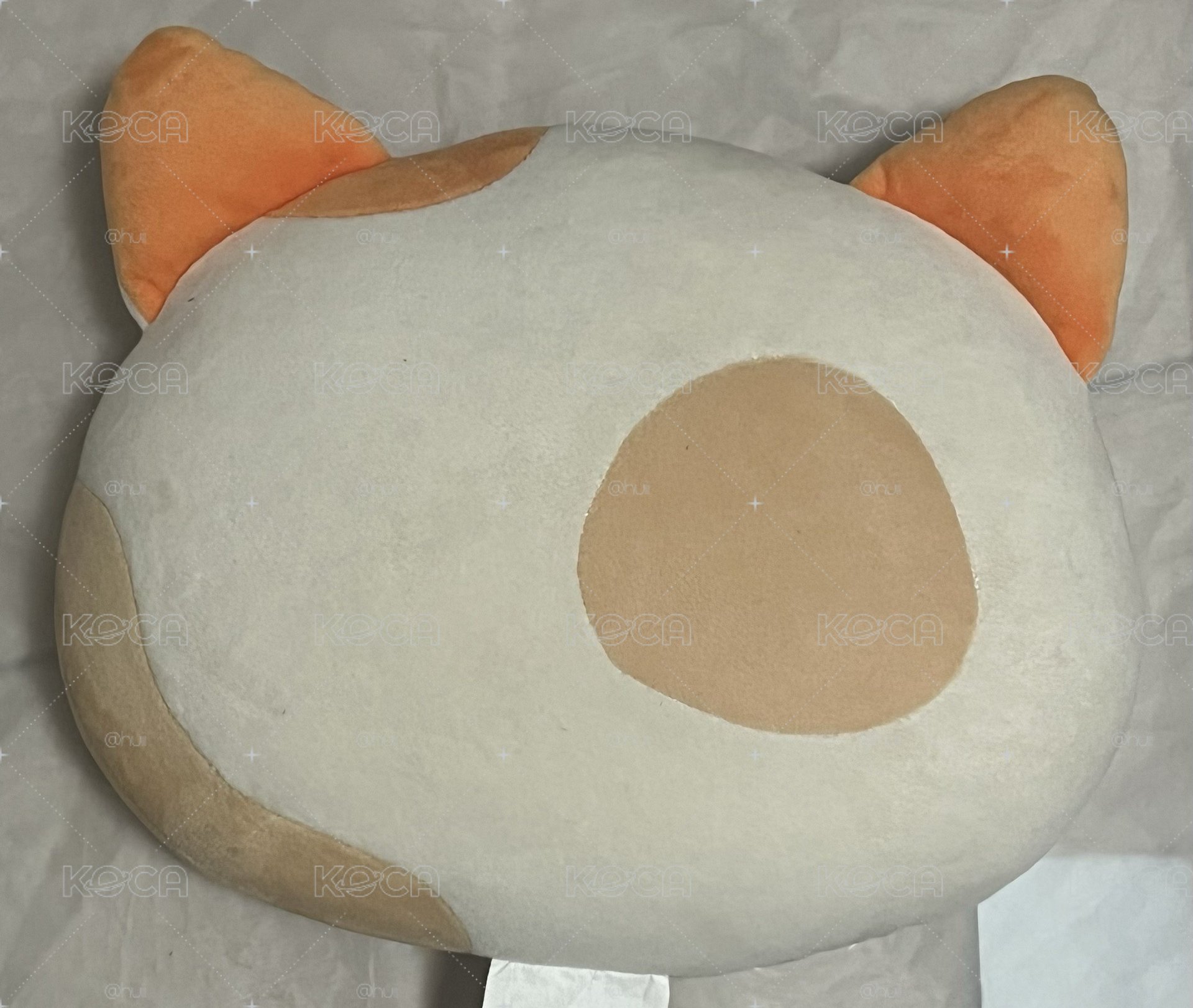 BBNEXDO 抱枕 CATBBI