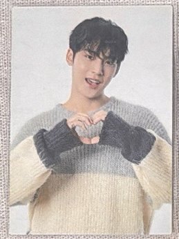 SEVENTEEN Mingyu 珉奎 21 Home 日卡