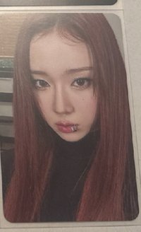 抓馬冬 專卡