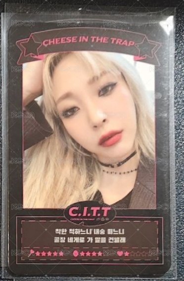 C.I.T.T專卡 帥學姐