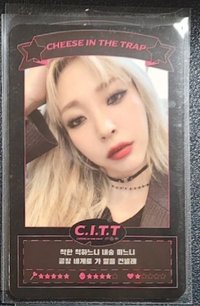 C.I.T.T專卡 帥學姐