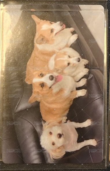 發運康久🐶