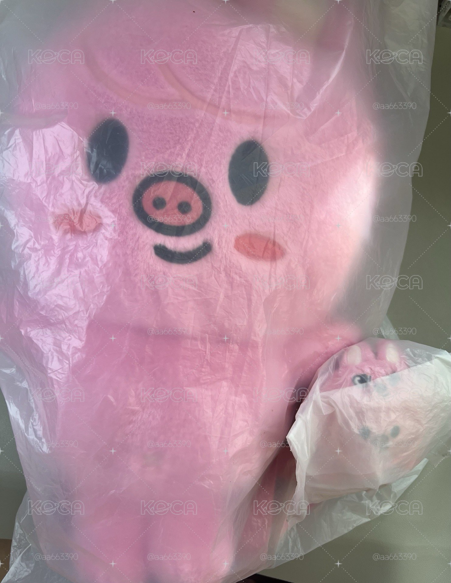 豬兔盤送最後一圖全部小卡