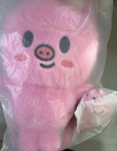豬兔盤送最後一圖全部小卡
