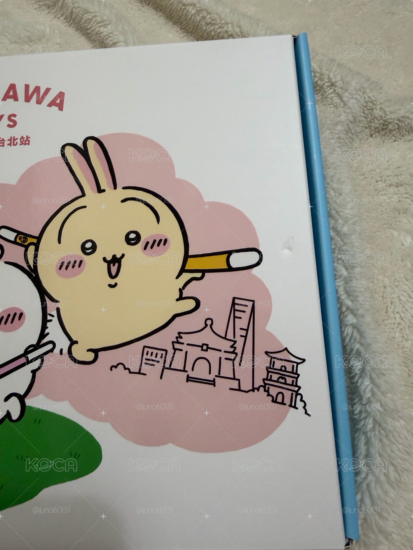 台北特展 兔兔討伐棒