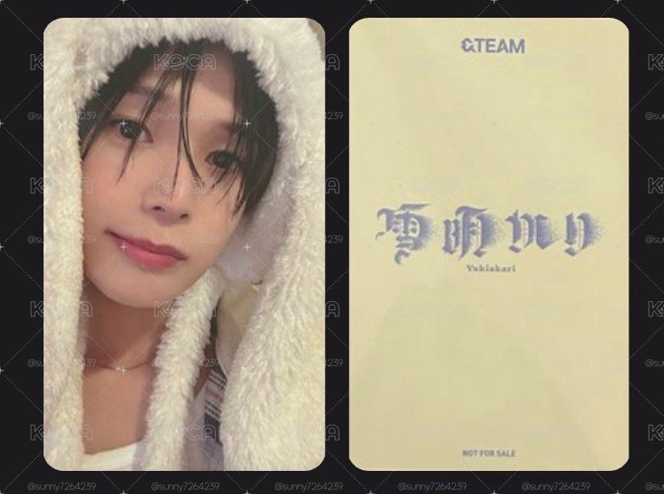 古賀佑大雪明日咖特典卡動物卡
