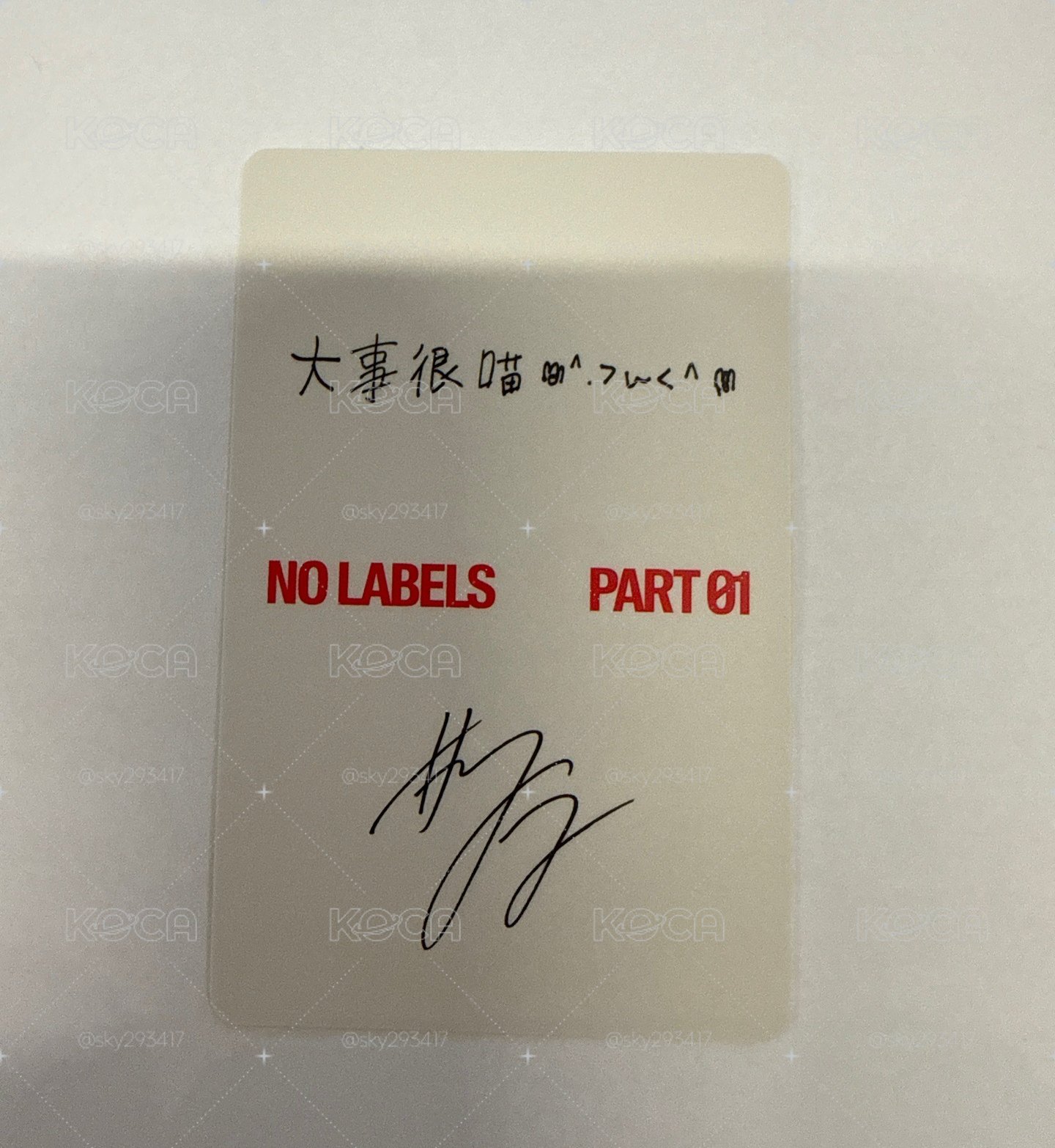 然竣 京東特典