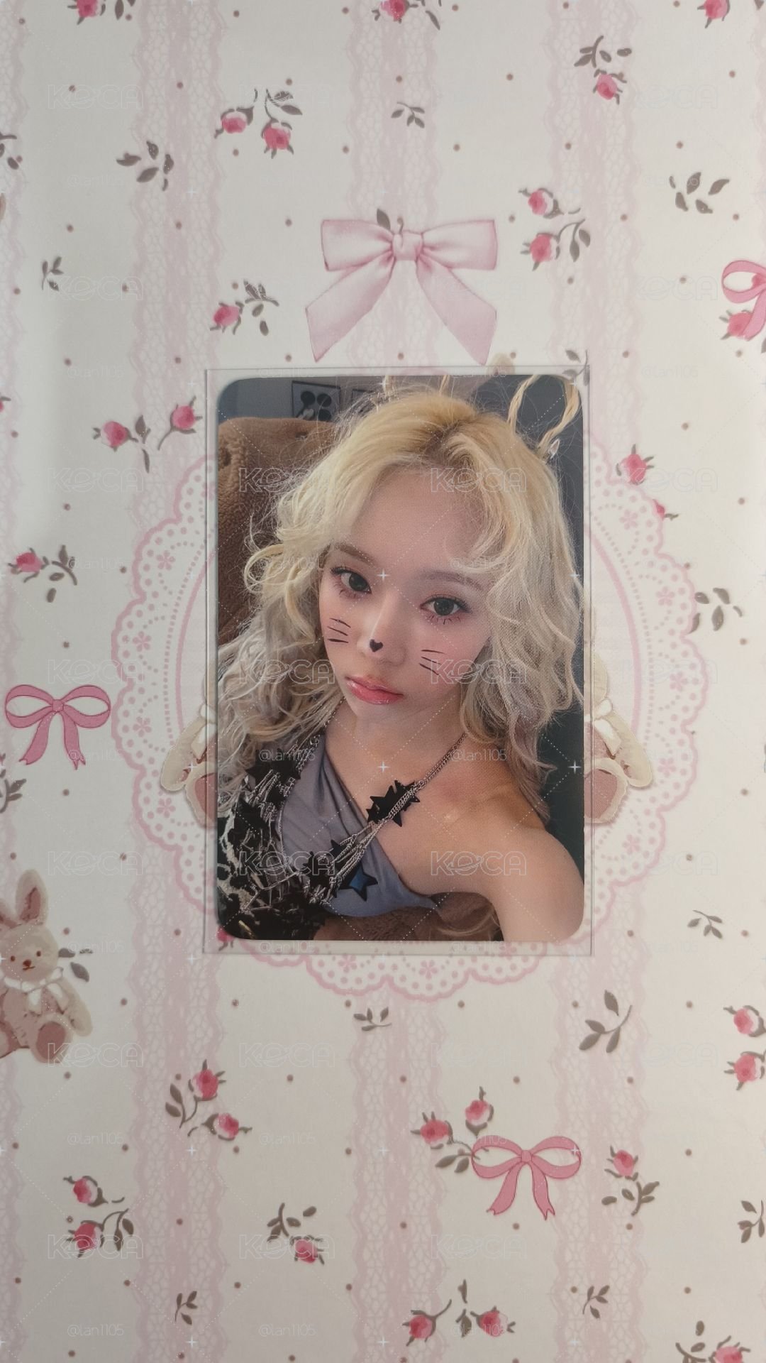el預售特典 貓咪冬.°♡⋆