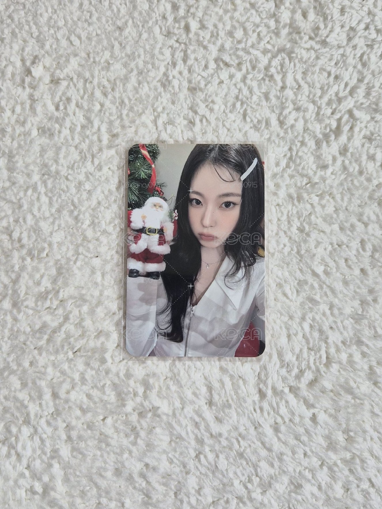 聖誕圭