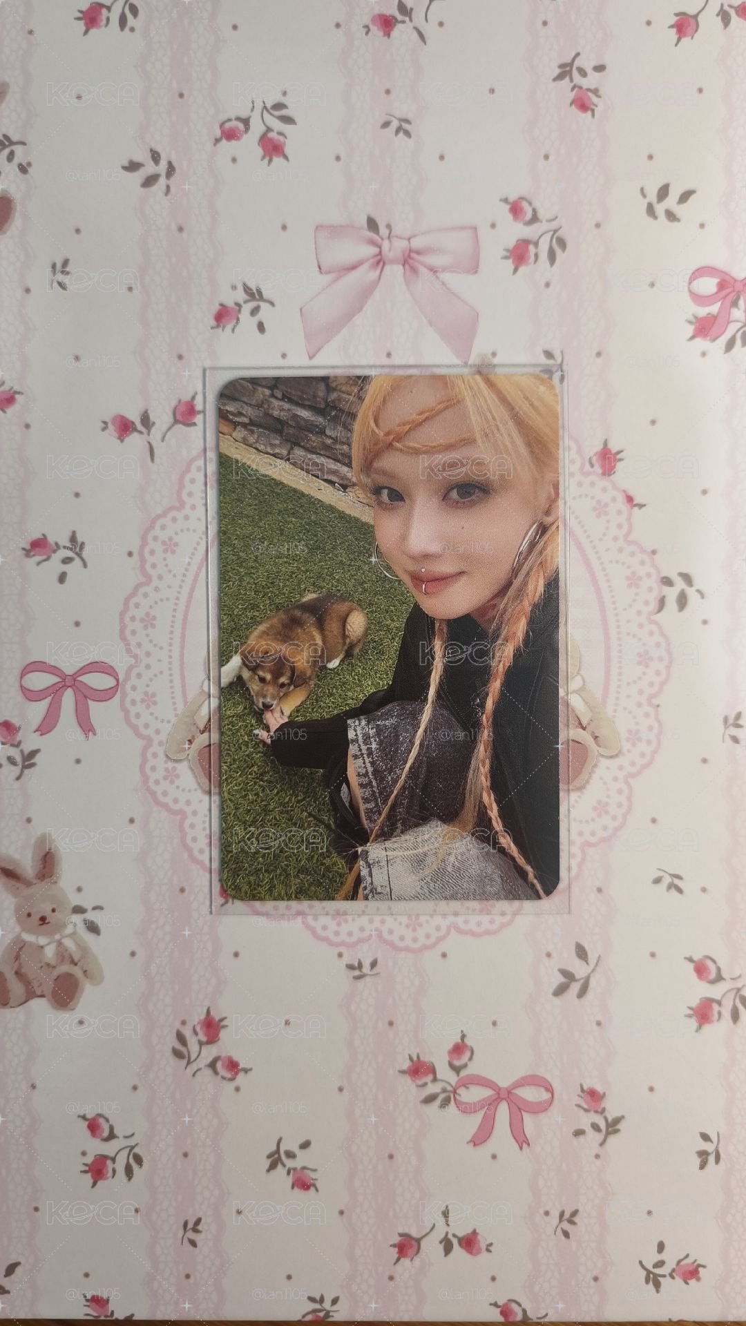 畫面裡怎麼有兩隻小狗.°♡⋆