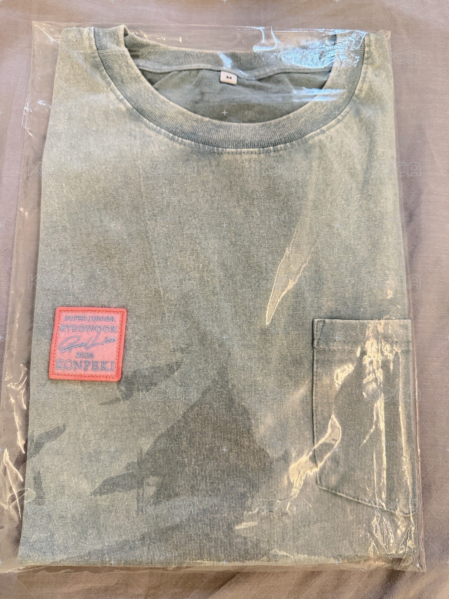 現貨💙 厲旭 日巡 口袋T恤 M/L 3天內可出貨
