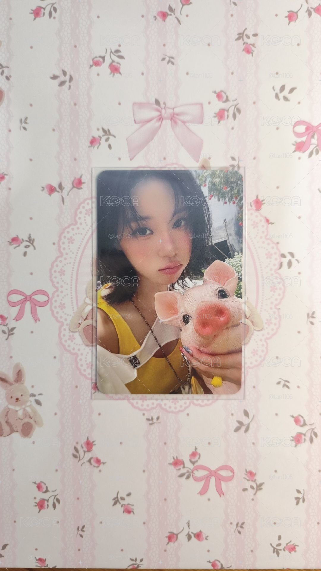 萌萌咚咚豬.°♡⋆