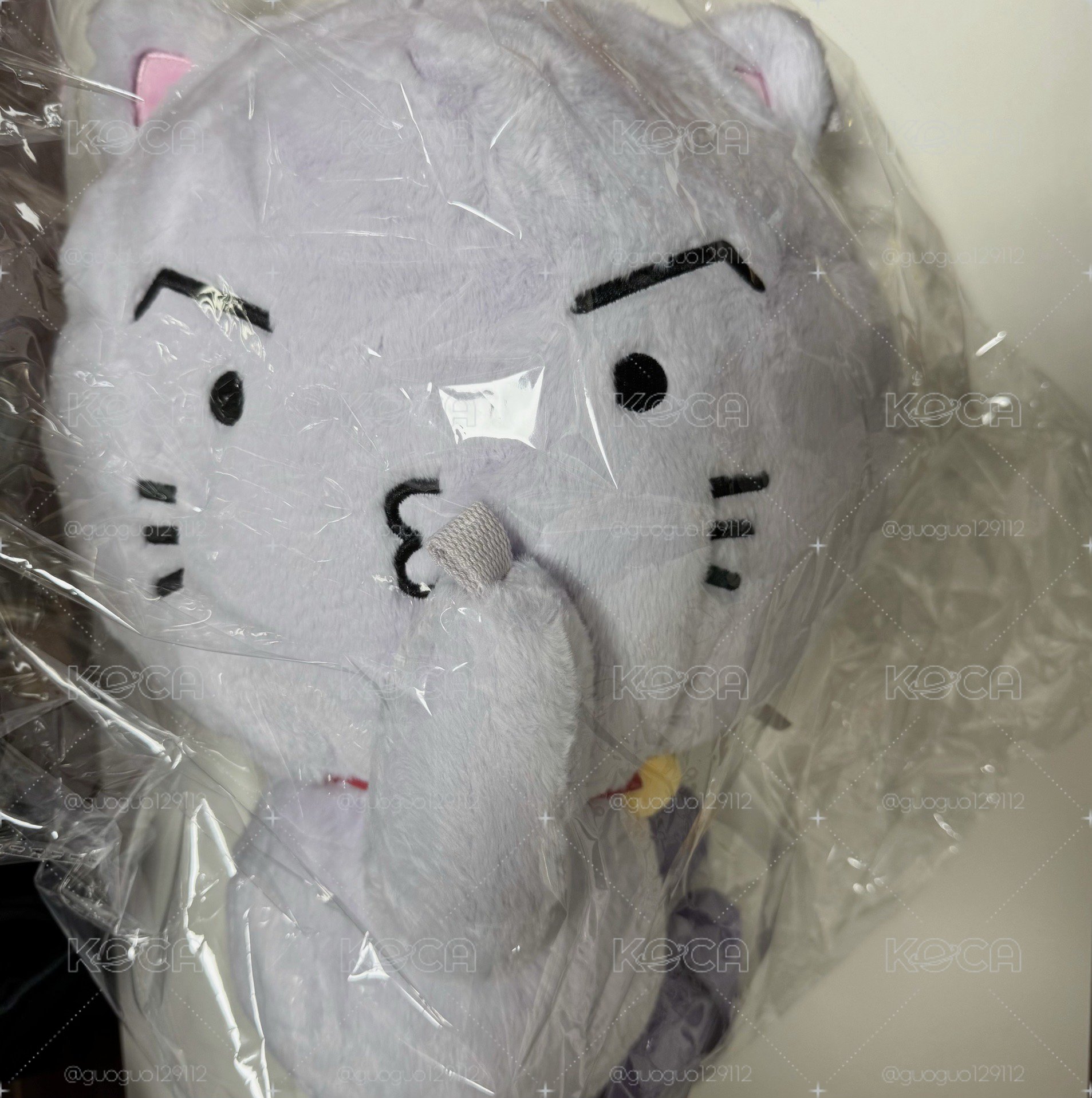 寶寶娃(含卡)+飯咪手燈包🐱