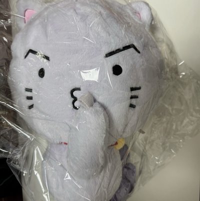 寶寶娃(含卡)+飯咪手燈包🐱