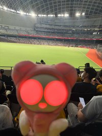 波波吃