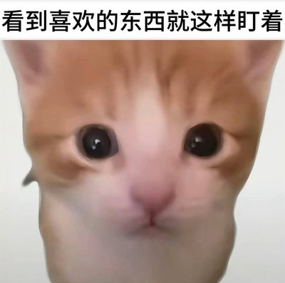 TWS迷五專區