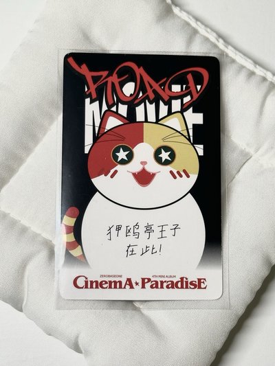 胖貓奎