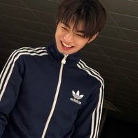 지 Y ☆ ★ N