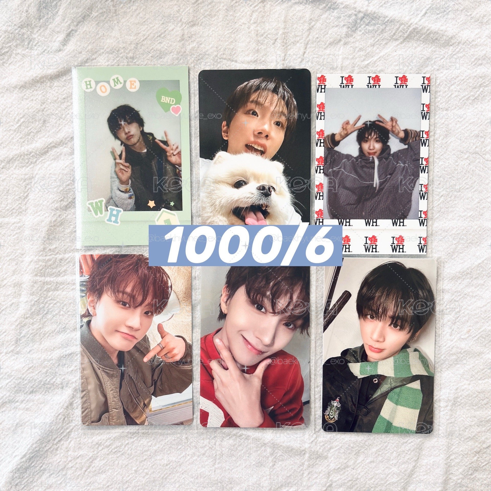 BOYNEXTDOOR TAESAN WOONHAK 漢東旼 金雲鶴 小卡🐈‍⬛⛄️🧸