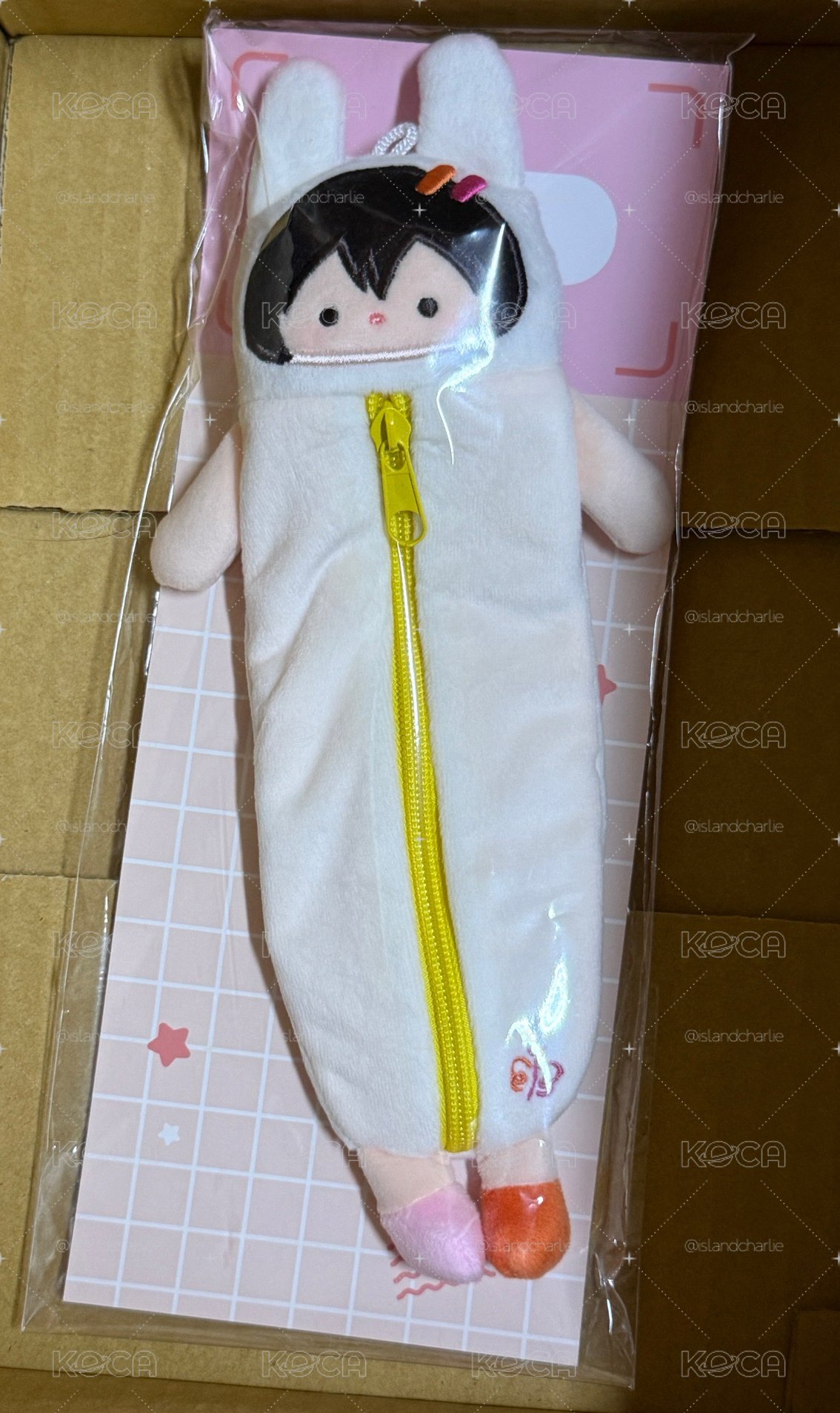 Any筆袋