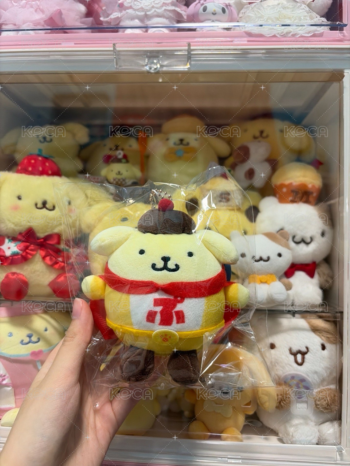 布丁狗