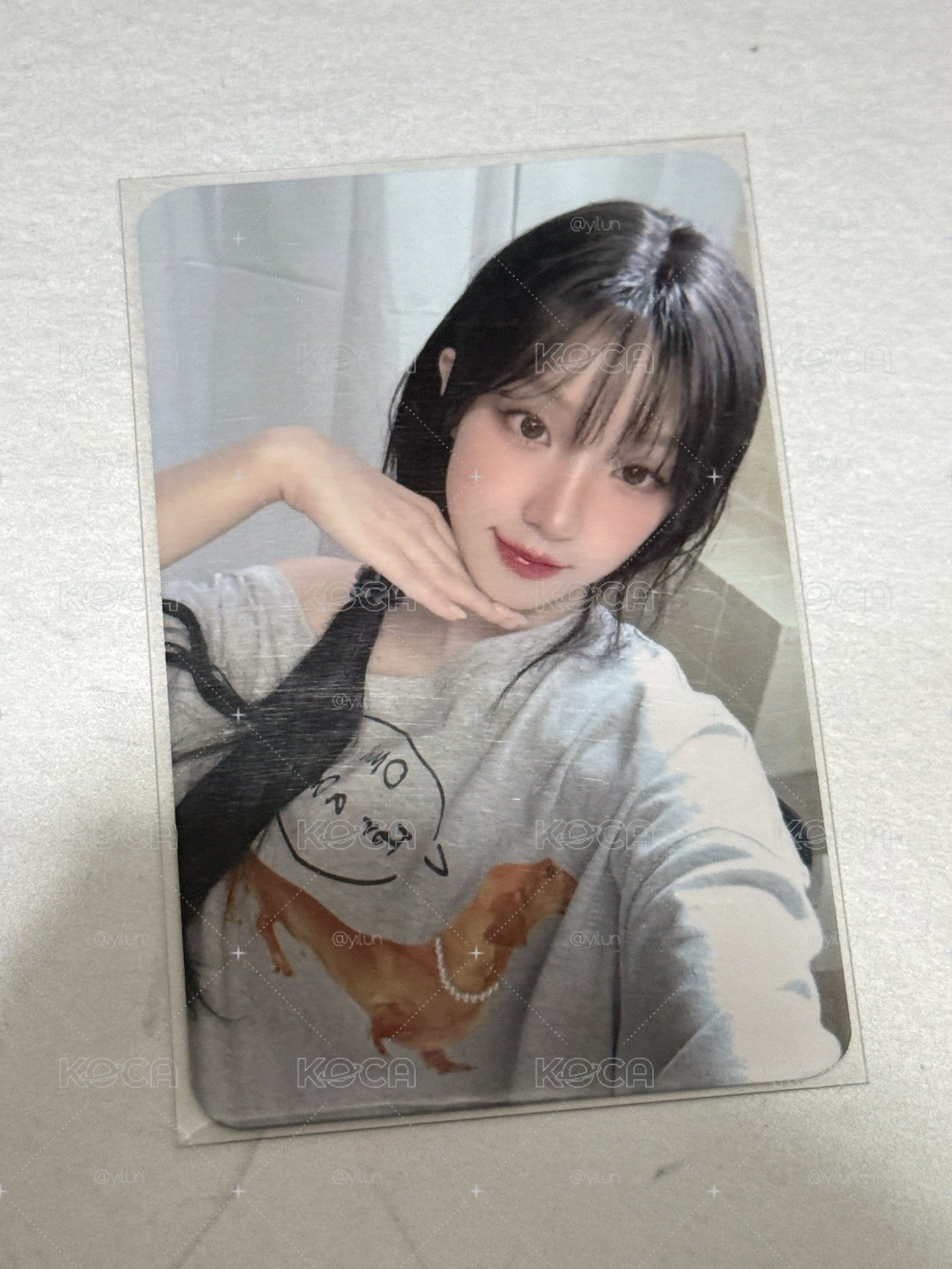 美美琦
