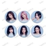 SUPA DUPA LUV 日本周邊 隨機未拆 徽章 