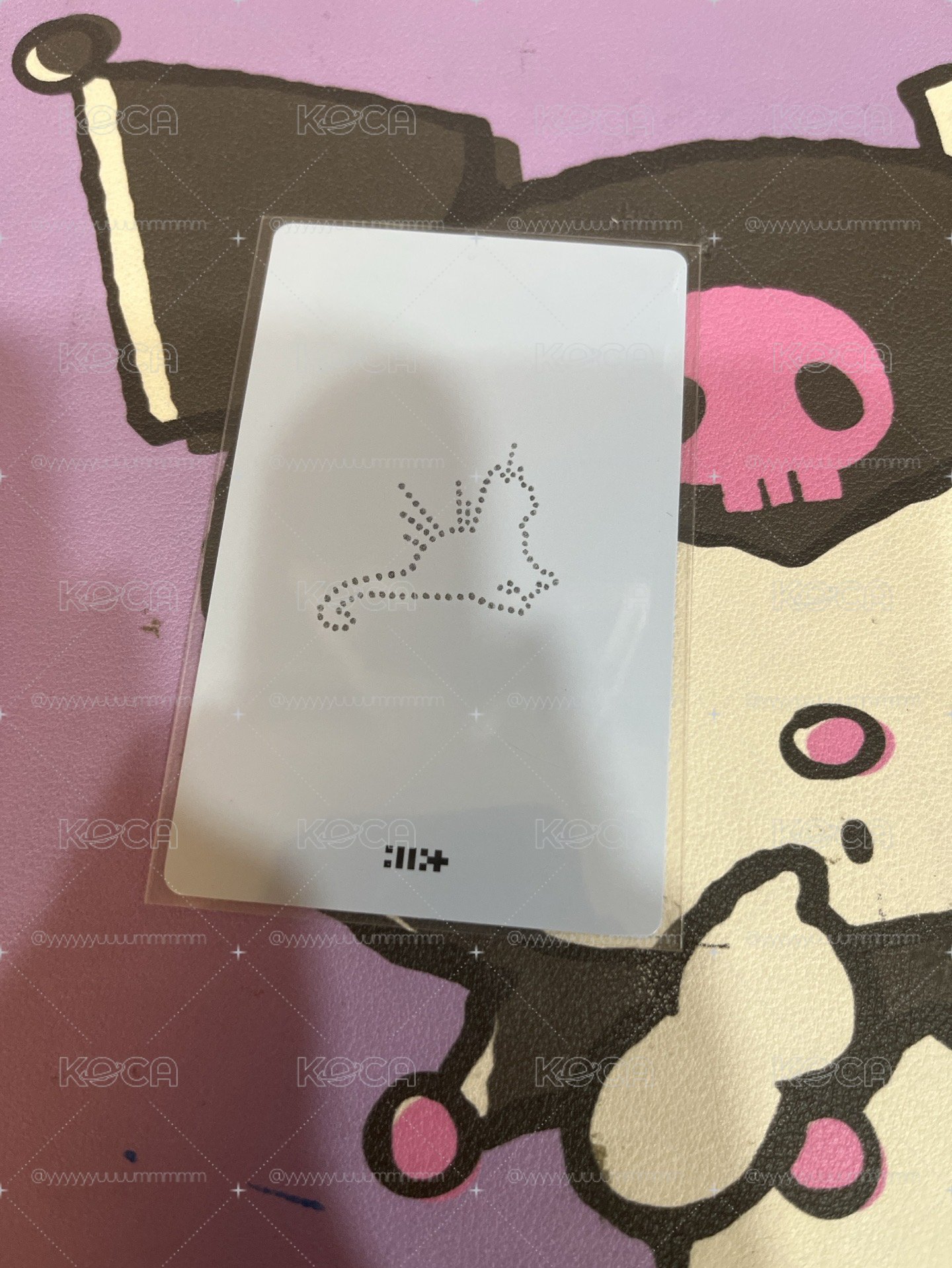 彩羽小卡
