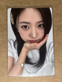 南珠 4