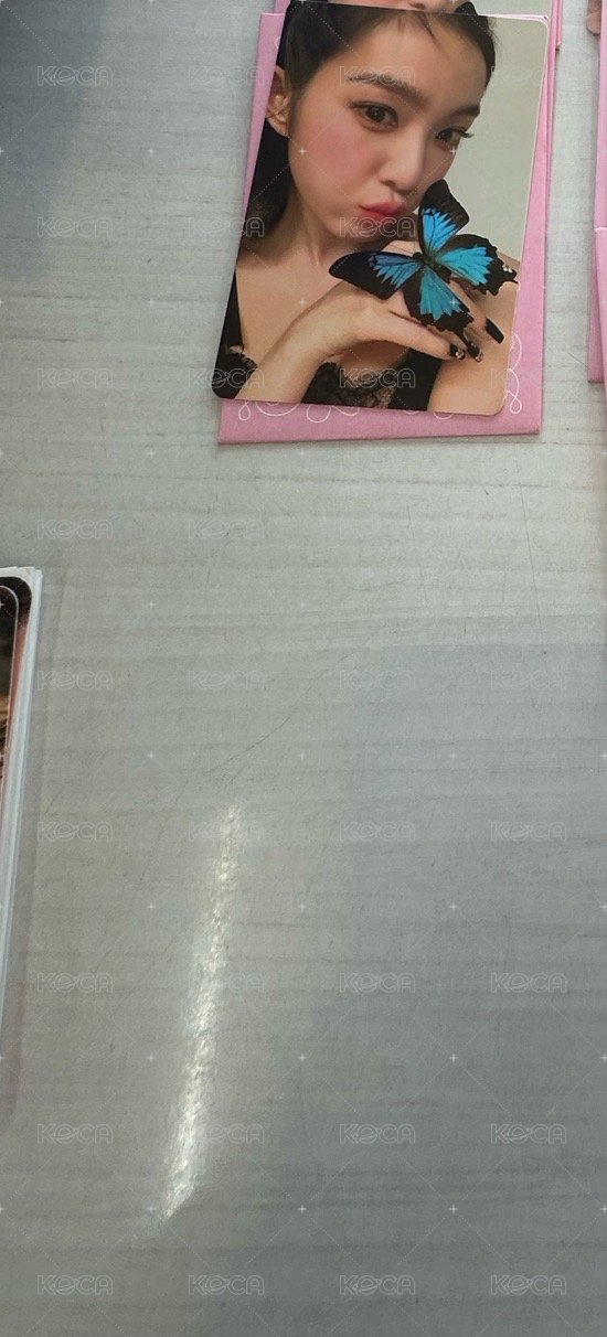 蝴蝶姊