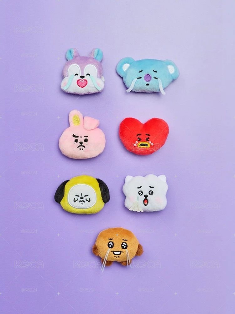 BT21 TODAY'S MOOD 毛絨徽章 哭哭臉 胸針