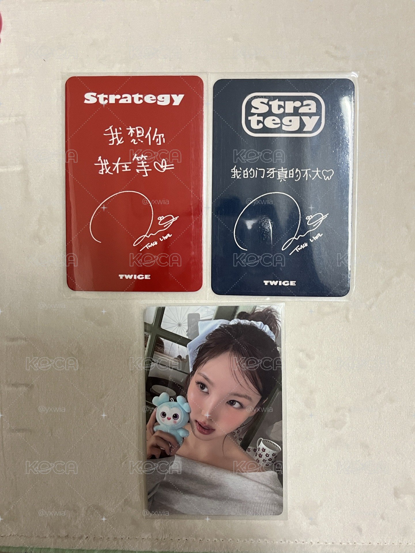 娜兩張中背+會員禮卡