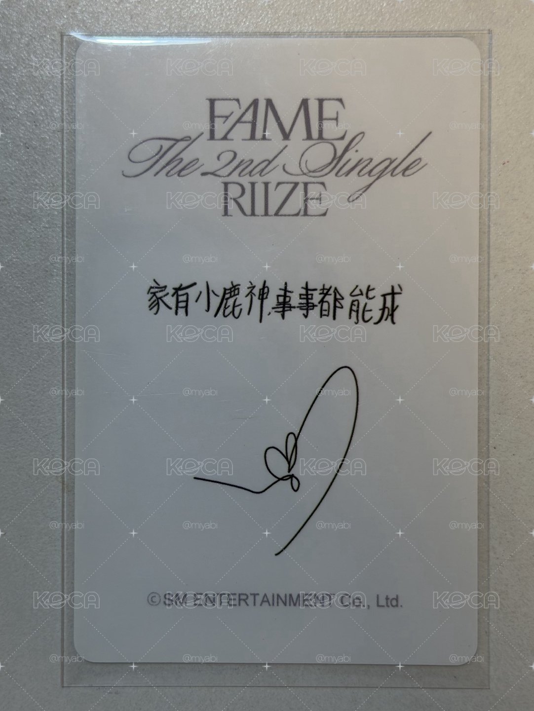 ⭐️fame 泡泡摩奇 燦中背