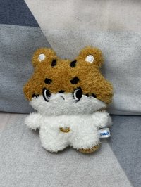 全收可小議