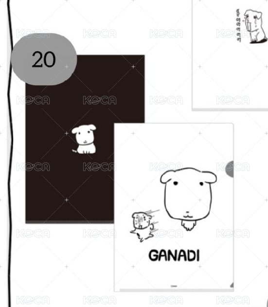 （20）資料夾