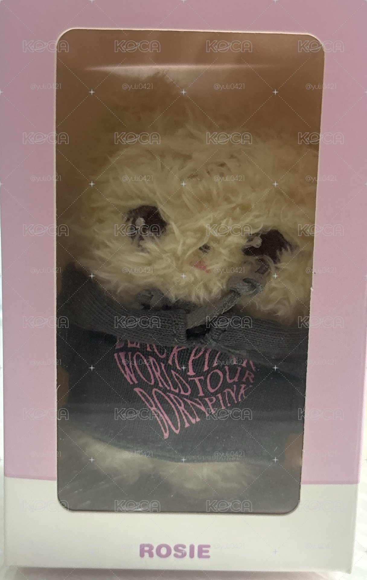 二巡肉帽踢娃💖（直出會贈卡）
