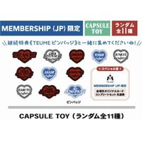 2025-26 TREASURE TOUR [PULSE ON] IN JAPAN 徽章 會員限定扭蛋 姓名徽章