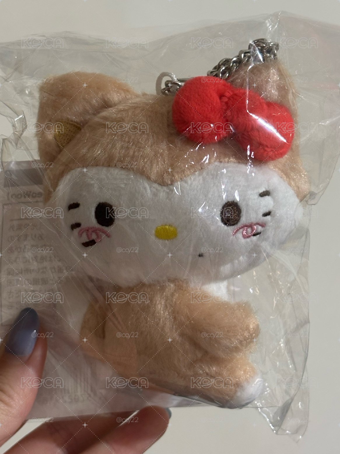 TWINZY × Hello Kitty RyeoWoo
