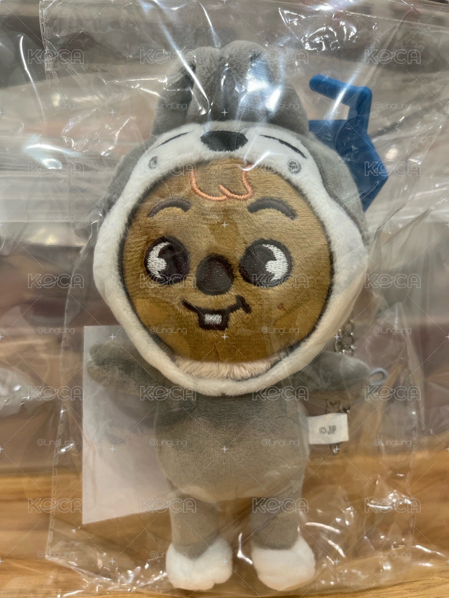 披著狼皮的小鼠