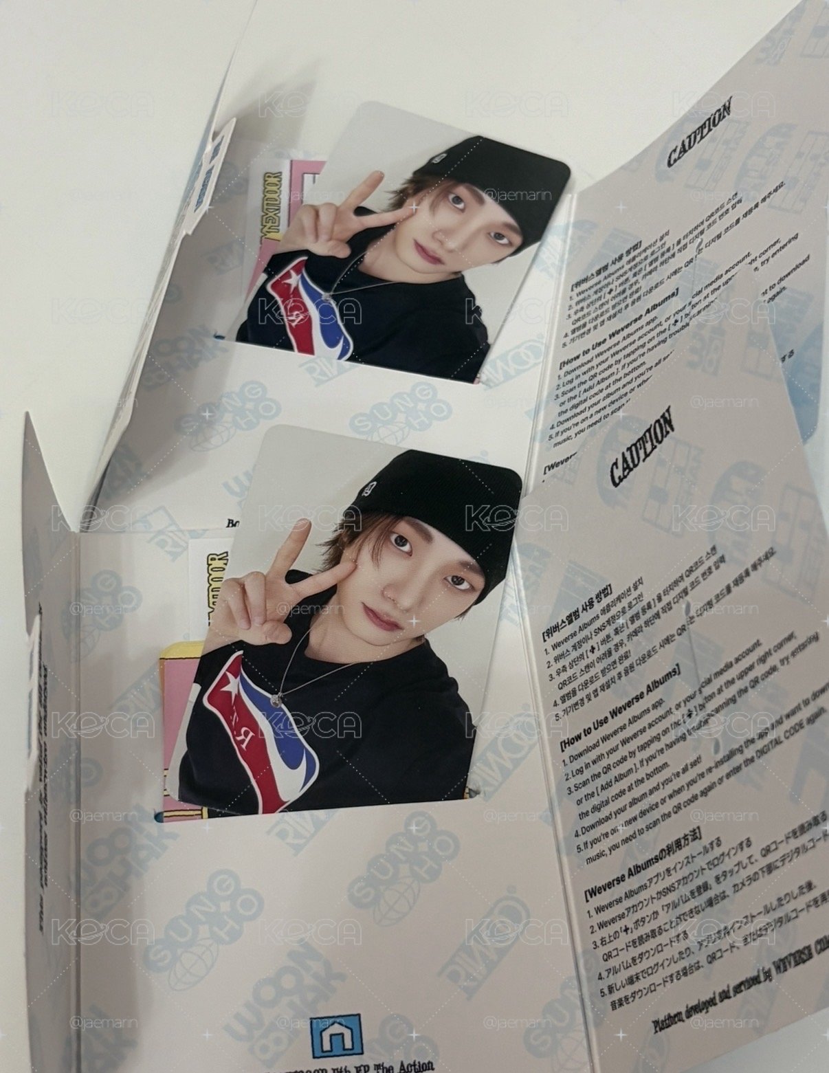 THE ACTION 全專