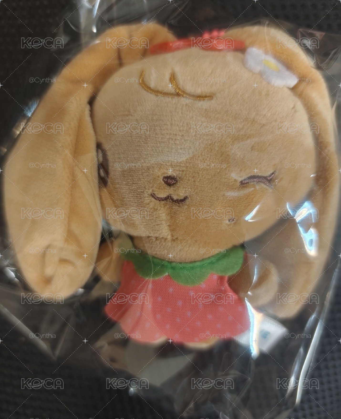 曬黑娃員