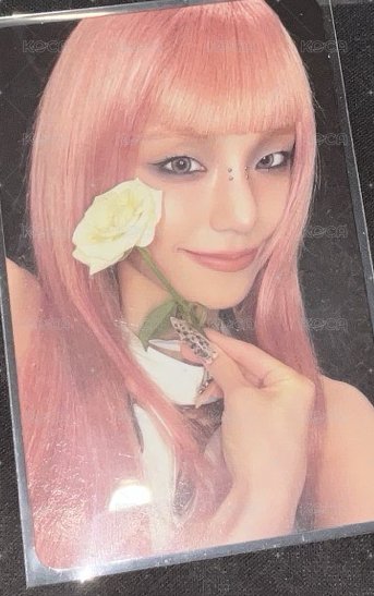 志比花美